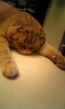 ”0 style cafe” - 住宅コンシェルジュたちの日記 -