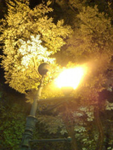 $"0 style cafe" - 住宅コンシェルジュたちの日記 -