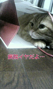 "0 style cafe" - 住宅コンシェルジュたちの日記 -