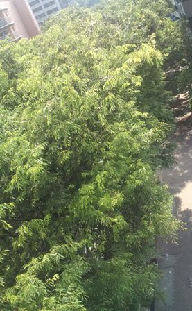 "0 style cafe" - 住宅コンシェルジュたちの日記 -