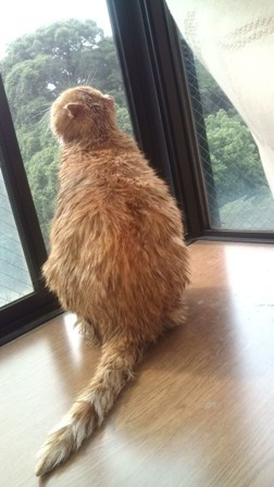 "0 style cafe" - 住宅コンシェルジュたちの日記 -