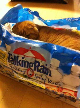 住宅コンシェルジュ、福岡より発信中！